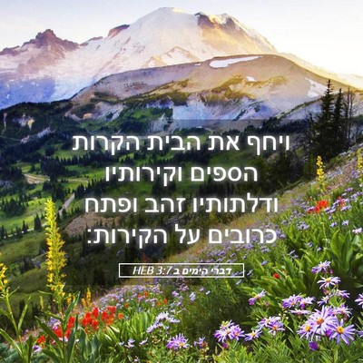 Picture 05 - דברי הימים ב 3:7 HEB - ויחף את הבית הקרות הספים - Bible Verse Picture