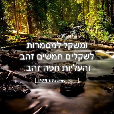 Picture 05 - דברי הימים ב 3:9 HEB - ומשקל למסמרות לשקלים חמשים - Bible Verse Picture