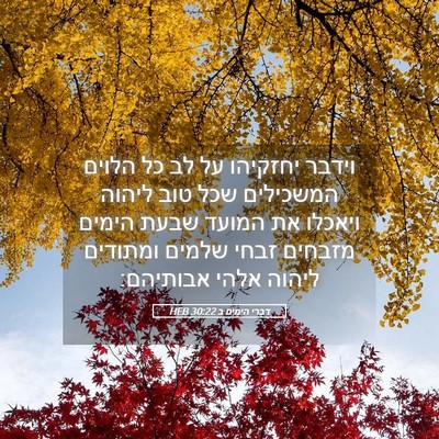 Picture 05 - דברי הימים ב 30:22 HEB - וידבר יחזקיהו על לב כל - Bible Verse Picture