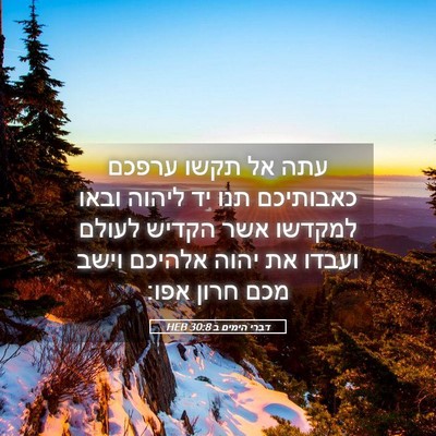 Picture 05 - דברי הימים ב 30:8 HEB - עתה אל תקשו ערפכם כאבותיכם - Bible Verse Picture