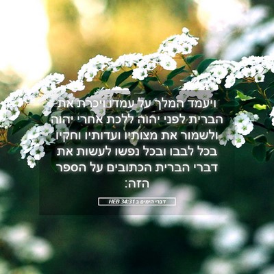 Picture 05 - דברי הימים ב 34:31 HEB - ויעמד המלך על עמדו ויכרת את - Bible Verse Picture