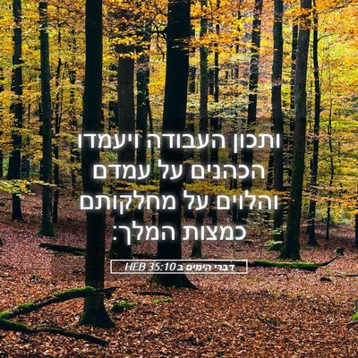 Picture 05 - דברי הימים ב 35:10 HEB - ותכון העבודה ויעמדו הכהנים - Bible Verse Picture