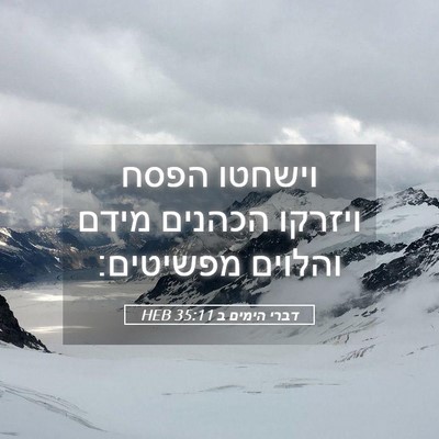 Picture 05 - דברי הימים ב 35:11 HEB - וישחטו הפסח ויזרקו הכהנים - Bible Verse Picture