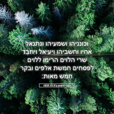 Picture 05 - דברי הימים ב 35:9 HEB - וכונניהו ושמעיהו ונתנאל - Bible Verse Picture