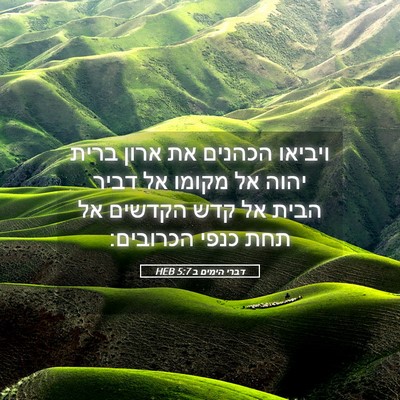 Picture 05 - דברי הימים ב 5:7 HEB - ויביאו הכהנים את ארון ברית - Bible Verse Picture