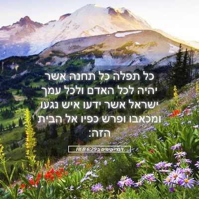 Picture 05 - דברי הימים ב 6:29 HEB - כל תפלה כל תחנה אשר יהיה - Bible Verse Picture