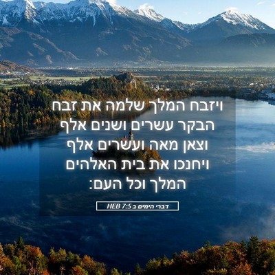 Picture 05 - דברי הימים ב 7:5 HEB - ויזבח המלך שלמה את זבח הבקר - Bible Verse Picture
