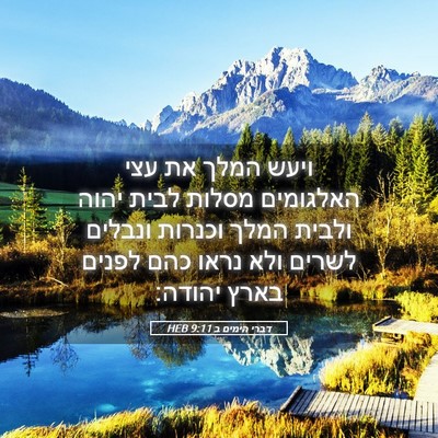 Picture 05 - דברי הימים ב 9:11 HEB - ויעש המלך את עצי האלגומים - Bible Verse Picture