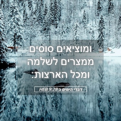 Picture 05 - דברי הימים ב 9:28 HEB - ומוציאים סוסים ממצרים - Bible Verse Picture