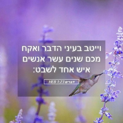 Picture 05 - דברים 1:23 HEB - וייטב בעיני הדבר ואקח מכם - Bible Verse Picture