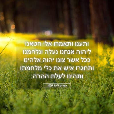 Picture 05 - דברים 1:41 HEB - ותענו ותאמרו אלי חטאנו - Bible Verse Picture