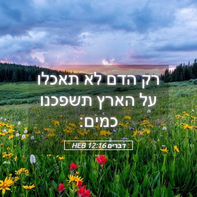 Picture 05 - דברים 12:16 HEB - רק הדם לא תאכלו על הארץ - Bible Verse Picture