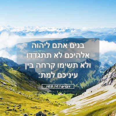Picture 05 - דברים 14:1 HEB - בנים אתם ליהוה אלהיכם לא - Bible Verse Picture