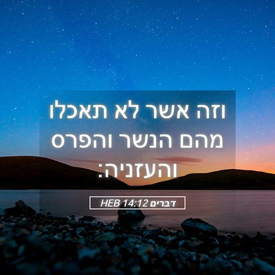 Picture 05 - דברים 14:12 HEB - וזה אשר לא תאכלו מהם הנשר - Bible Verse Picture