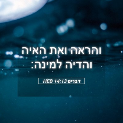 Picture 05 - דברים 14:13 HEB - והראה ואת האיה והדיה - Bible Verse Picture