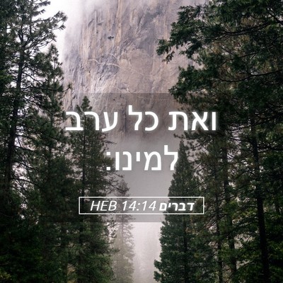 Picture 05 - דברים 14:14 HEB - ואת כל ערב - Bible Verse Picture