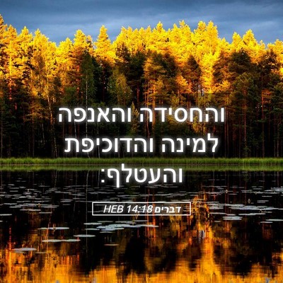 Picture 05 - דברים 14:18 HEB - והחסידה והאנפה למינה - Bible Verse Picture