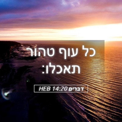 Picture 05 - דברים 14:20 HEB - כל עוף טהור - Bible Verse Picture