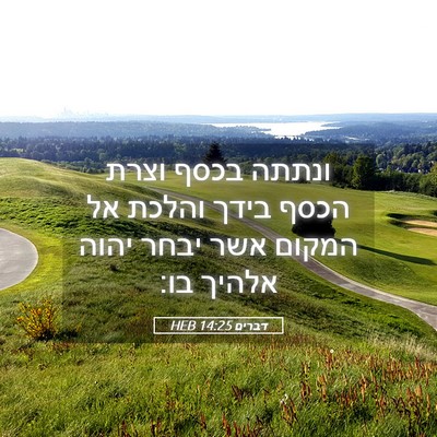 Picture 05 - דברים 14:25 HEB - ונתתה בכסף וצרת הכסף בידך - Bible Verse Picture