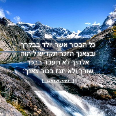 Picture 05 - דברים 15:19 HEB - כל הבכור אשר יולד בבקרך - Bible Verse Picture