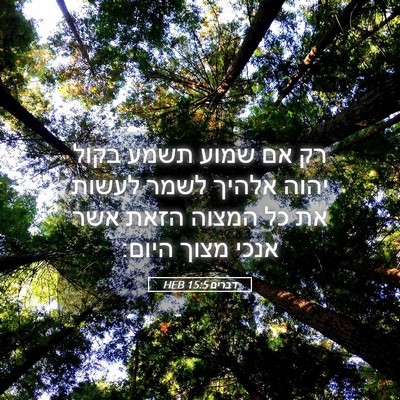 Picture 05 - דברים 15:5 HEB - רק אם שמוע תשמע בקול יהוה - Bible Verse Picture