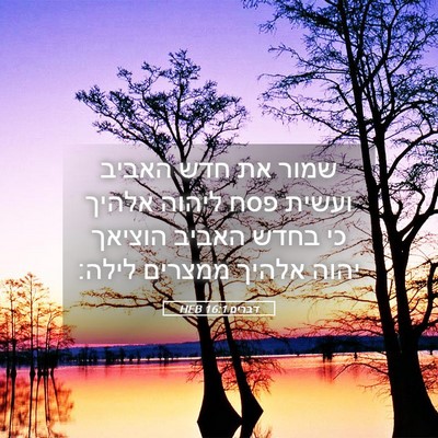 Picture 05 - דברים 16:1 HEB - שמור את חדש האביב ועשית פסח - Bible Verse Picture