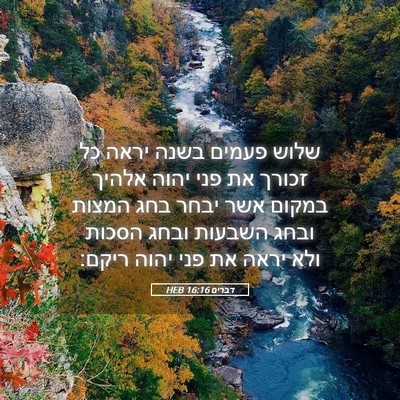 Picture 05 - דברים 16:16 HEB - שלוש פעמים בשנה יראה כל - Bible Verse Picture