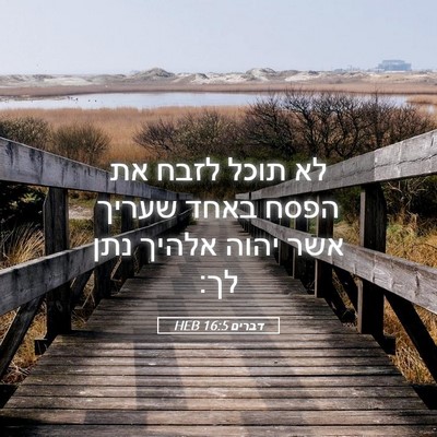 Picture 05 - דברים 16:5 HEB - לא תוכל לזבח את הפסח באחד - Bible Verse Picture