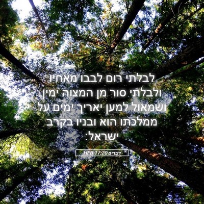Picture 05 - דברים 17:20 HEB - לבלתי רום לבבו מאחיו - Bible Verse Picture