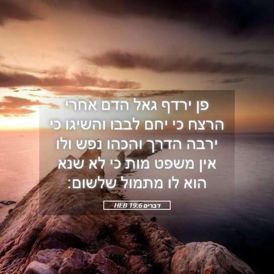 Picture 05 - דברים 19:6 HEB - פן ירדף גאל הדם אחרי הרצח - Bible Verse Picture