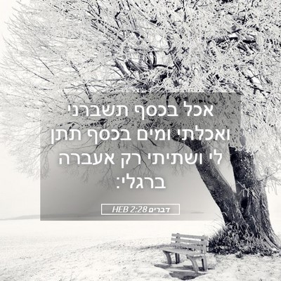 Picture 05 - דברים 2:28 HEB - אכל בכסף תשברני ואכלתי - Bible Verse Picture