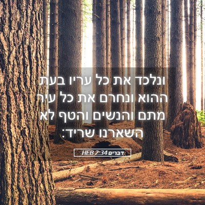 Picture 05 - דברים 2:34 HEB - ונלכד את כל עריו בעת ההוא - Bible Verse Picture