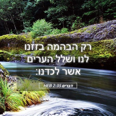 Picture 05 - דברים 2:35 HEB - רק הבהמה בזזנו לנו ושלל - Bible Verse Picture