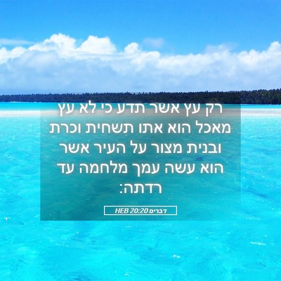 Picture 05 - דברים 20:20 HEB - רק עץ אשר תדע כי לא עץ מאכל - Bible Verse Picture