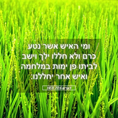 Picture 05 - דברים 20:6 HEB - ומי האיש אשר נטע כרם ולא - Bible Verse Picture