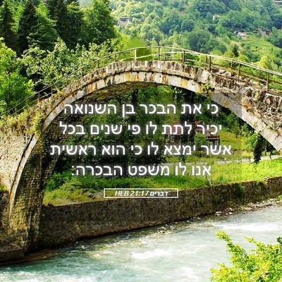 Picture 05 - דברים 21:17 HEB - כי את הבכר בן השנואה יכיר - Bible Verse Picture