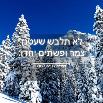 Picture 05 - דברים 22:11 HEB - לא תלבש שעטנז צמר ופשתים - Bible Verse Picture