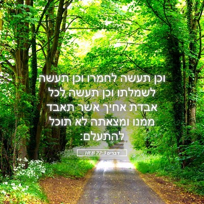 Picture 05 - דברים 22:3 HEB - וכן תעשה לחמרו וכן תעשה - Bible Verse Picture