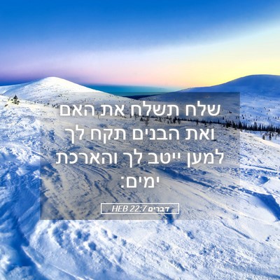 Picture 05 - דברים 22:7 HEB - שלח תשלח את האם ואת הבנים - Bible Verse Picture