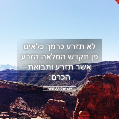 Picture 05 - דברים 22:9 HEB - לא תזרע כרמך כלאים פן תקדש - Bible Verse Picture