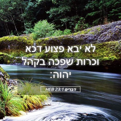Picture 05 - דברים 23:1 HEB - לא יבא פצוע דכא וכרות שפכה - Bible Verse Picture