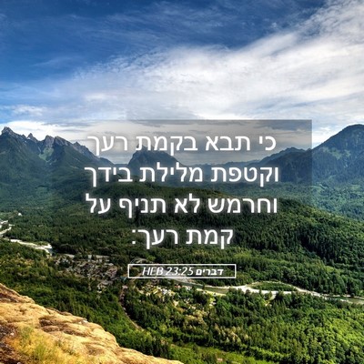 Picture 05 - דברים 23:25 HEB - כי תבא בקמת רעך וקטפת מלילת - Bible Verse Picture