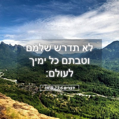 Picture 05 - דברים 23:6 HEB - לא תדרש שלמם וטבתם כל ימיך - Bible Verse Picture