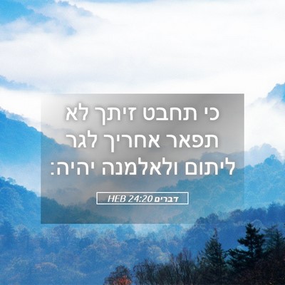 Picture 05 - דברים 24:20 HEB - כי תחבט זיתך לא תפאר אחריך - Bible Verse Picture