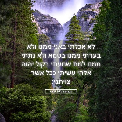 Picture 05 - דברים 26:14 HEB - לא אכלתי באני ממנו ולא - Bible Verse Picture