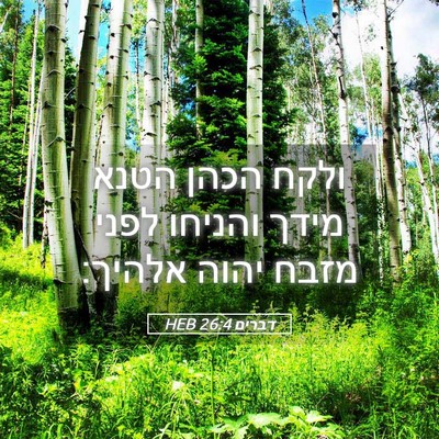 Picture 05 - דברים 26:4 HEB - ולקח הכהן הטנא מידך והניחו - Bible Verse Picture