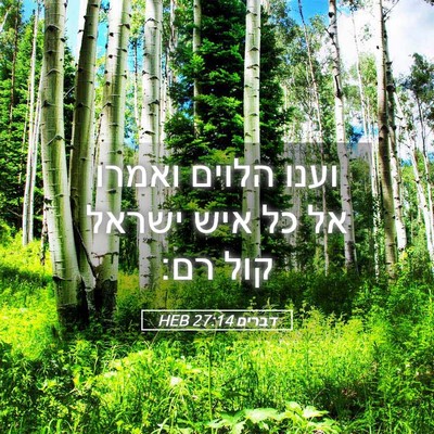 Picture 05 - דברים 27:14 HEB - וענו הלוים ואמרו אל כל איש - Bible Verse Picture