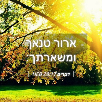 Picture 05 - דברים 28:17 HEB - ארור טנאך - Bible Verse Picture