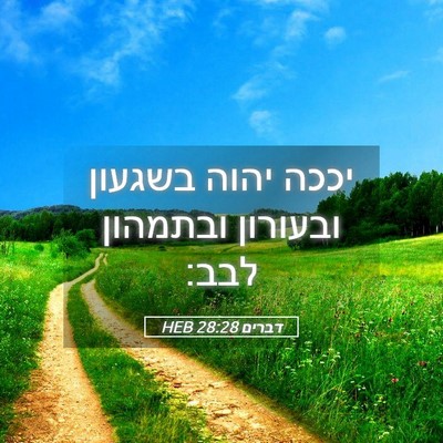 Picture 05 - דברים 28:28 HEB - יככה יהוה בשגעון ובעורון - Bible Verse Picture