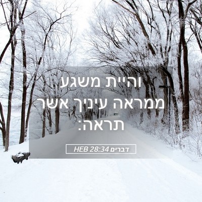Picture 05 - דברים 28:34 HEB - והיית משגע ממראה עיניך אשר - Bible Verse Picture